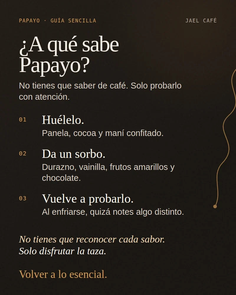 Guía sencilla para descubrir los aromas y sabores del café Papayo