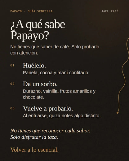 Guía sencilla para descubrir los aromas y sabores del café Papayo